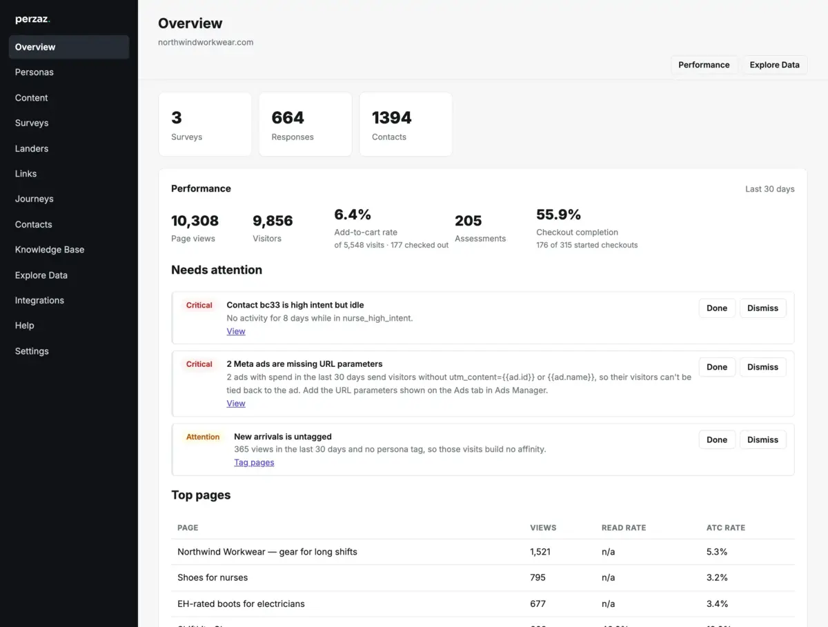 Perzaz Overview: KPI tiles, a list of insights and persona performance